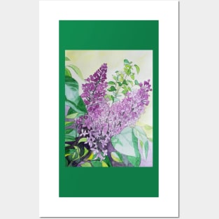 Watercolour lilacs painting Posters and Art